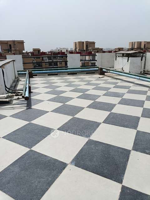 3 BHK Flat In Amrapali Zodiac For Sale  In Sector 120