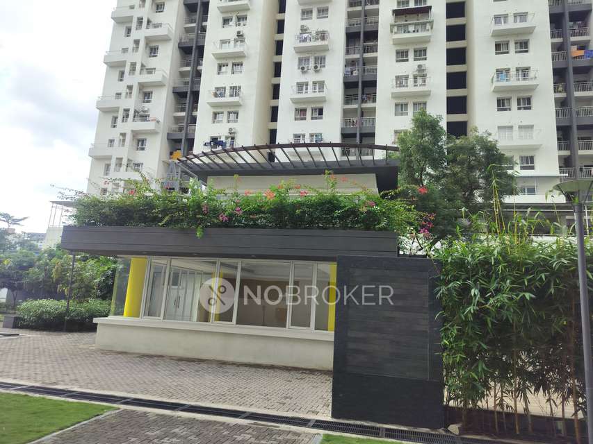 3 BHK Flat In Godrej Greens for Rent  In Undri