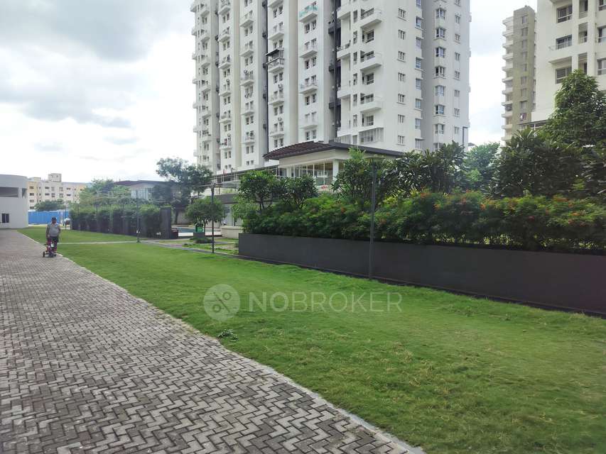 3 BHK Flat In Godrej Greens for Rent  In Undri