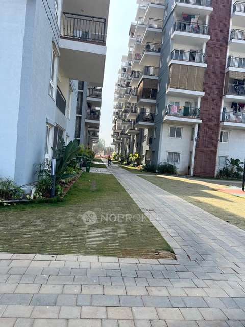 3 BHK Flat In Hallmark Sunnyside For Sale  In Manchirevula