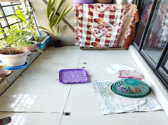 3 BHK Flat In Blue Heaven For Sale  In Ulwe