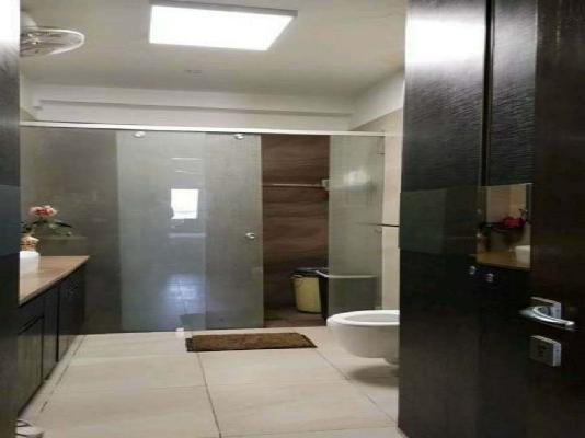 4+ BHK Flat For Sale  In Sector 49