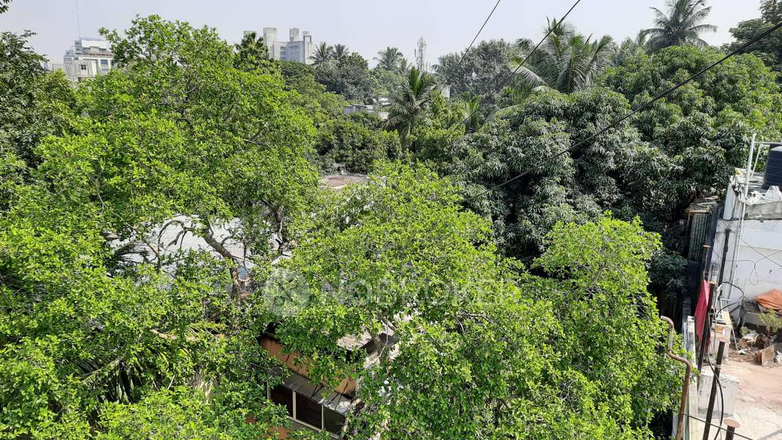 3 BHK Flat In Butte Patil Niwas For Sale  In Shivajinagar