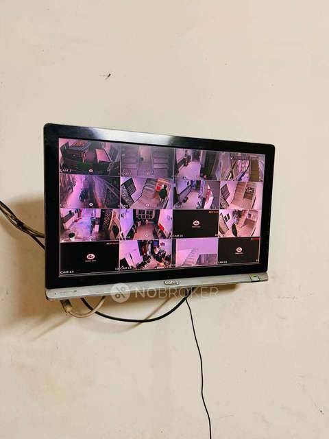 PG for Boys in Sector 15