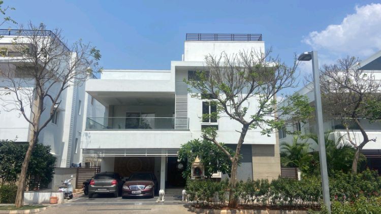 Sri Sreenivasa Cyprus Palms