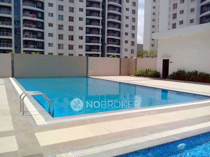2 BHK Flat In Megapolis Sparkle for Rent  In Hinjewadi
