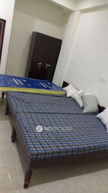 PG for Boys in Sector 48