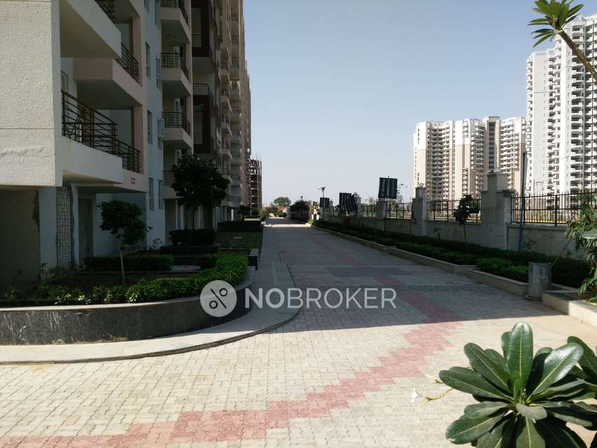 3 BHK Flat In Raheja Sampada. For Sale  In Sector 94