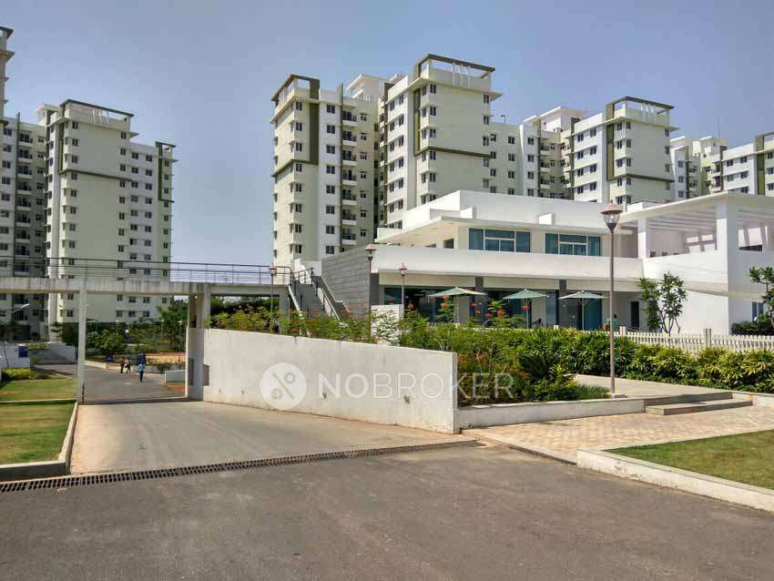 3 BHK Flat In Provident Sunworth City for Rent  In Kambipura