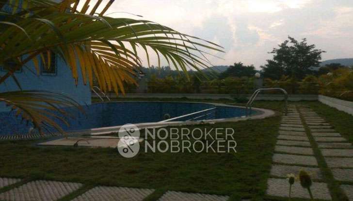 2 BHK Flat In Svs Excellencia for Rent  In Warje