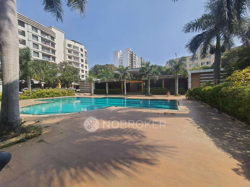 3 BHK Flat In Konark Exotica For Sale  In Wagholi