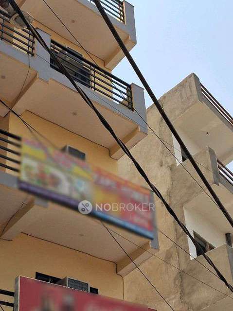 PG for Anyone in Sector 168