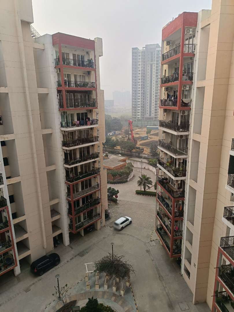 Orris Carnation Residency