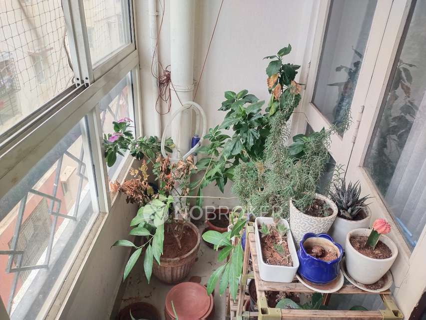 2 BHK Flat In Greater Kailash Apartment For Sale  In Murgeshpalya