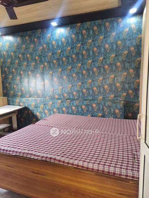 PG for Girls in Patel Nagar