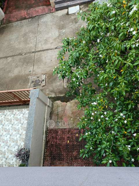 2 BHK House for Rent  In Chikhali