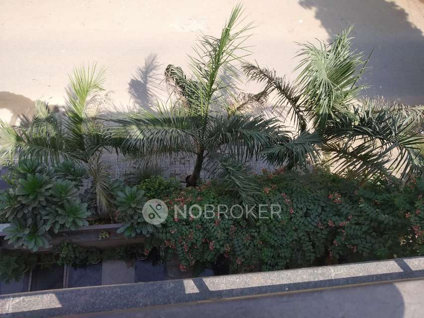 3 BHK Flat In Standalone Building  for Rent  In Sector 40 