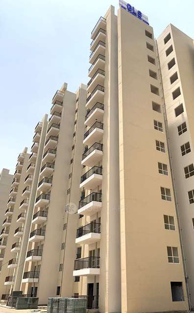 3 BHK Flat In Gls Avenue for Rent  In Sector 92