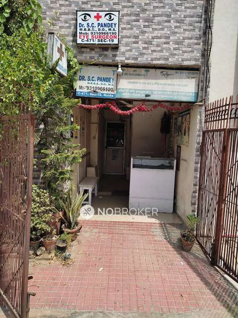 PG for Girls in Sector 19