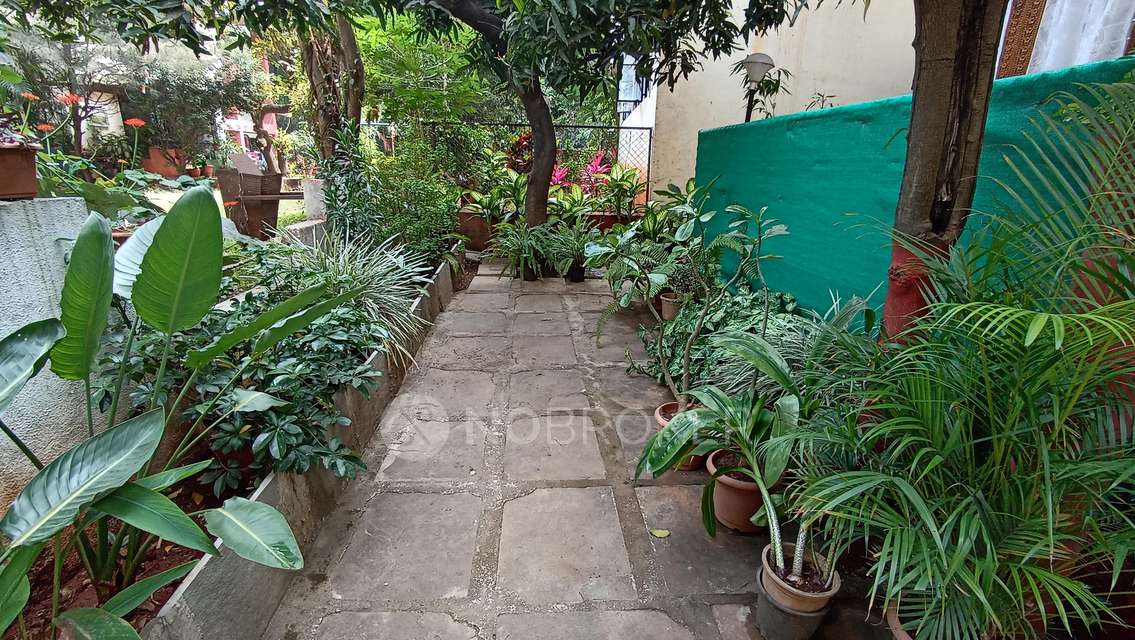 3 BHK Flat In Patil Natasha Hill View for Rent  In Kondhwa Bk