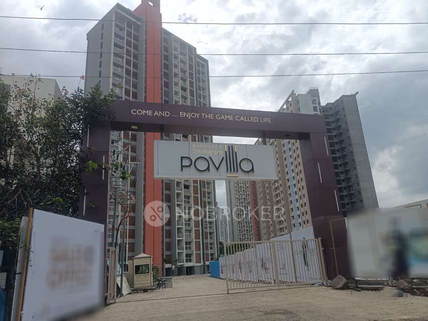 2 BHK Flat In Shaligram Pavilia  for Rent  In Pimpri-chinchwad