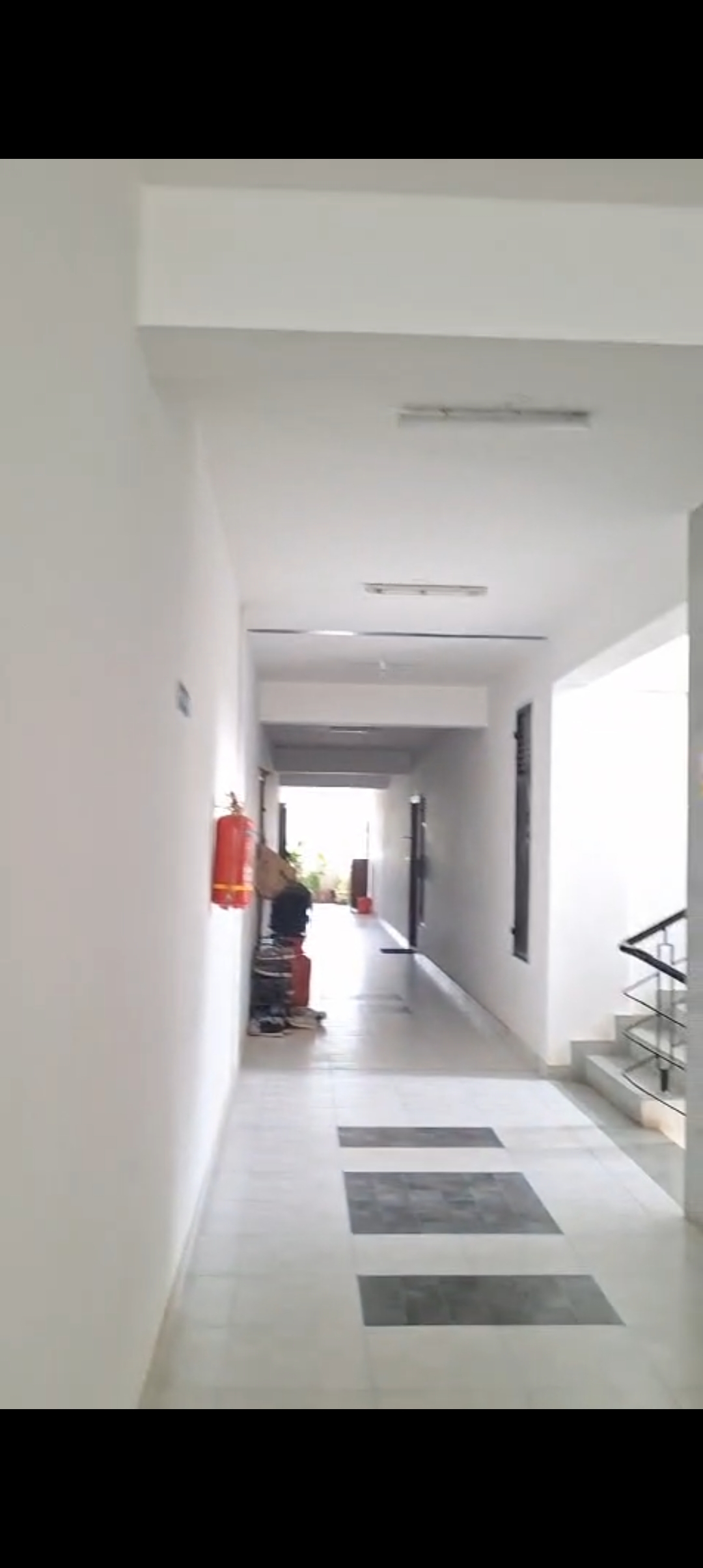 Vakil Whispering Woods