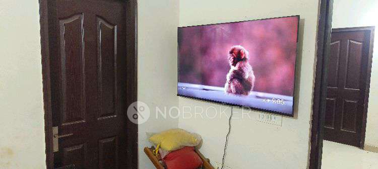 1 RK Flat In Oasis Venetia Heights, Surajpur for Rent  In Surajpur