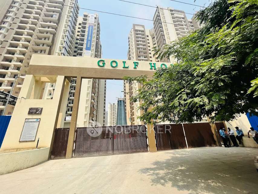 Single Room for Male In 3 BHK  In Amrapali Golf Homes In Sector 4 