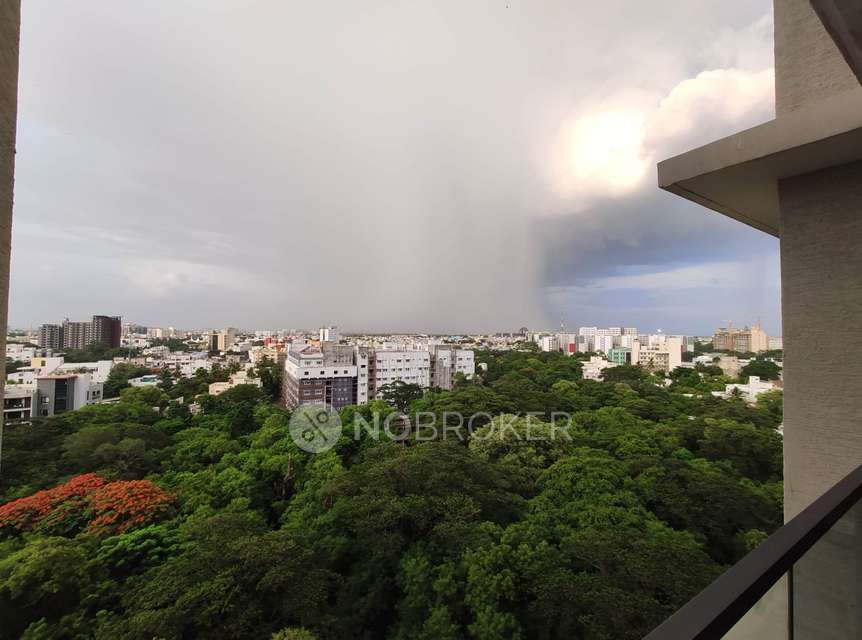 3 BHK Flat In Ceebros The Atlantic, Egmore, Chennai For Sale  In Egmore, Chennai