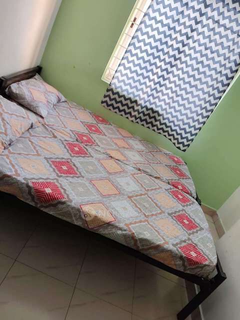 PG for Anyone in S.g. Palya