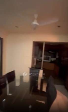 Single Room for Female In 3 BHK  In Samarpan Apartments In Law College Road Hdfc