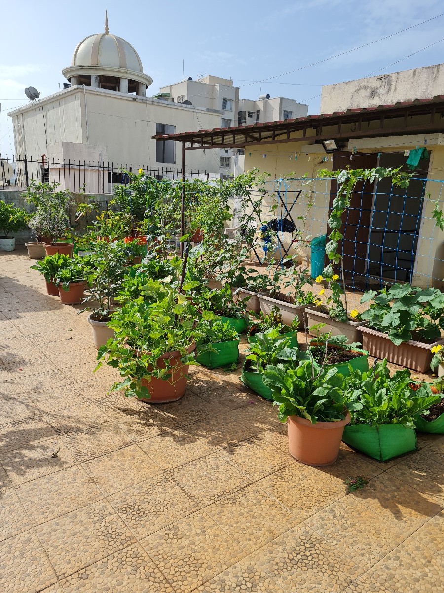Hills and Dales bungalows