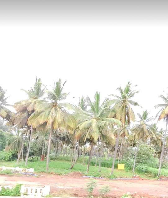 Plot For Sale  In Harohalli