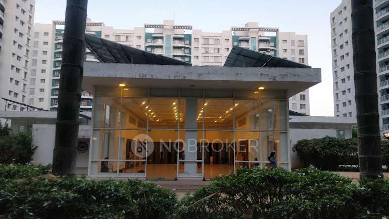 3 BHK Flat In Megapolis Splendour for Rent  In Hinjewadi