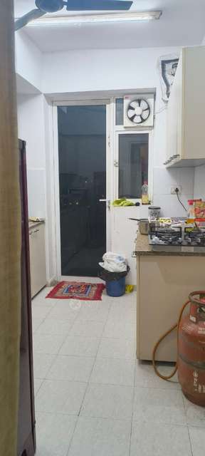 4+ BHK Flat In Dlf New Town Heights 1, Sector 86 For Sale  In Sector 86