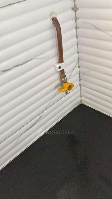 3 BHK Flat In Nirmiti Fili Villa for Rent  In Baner