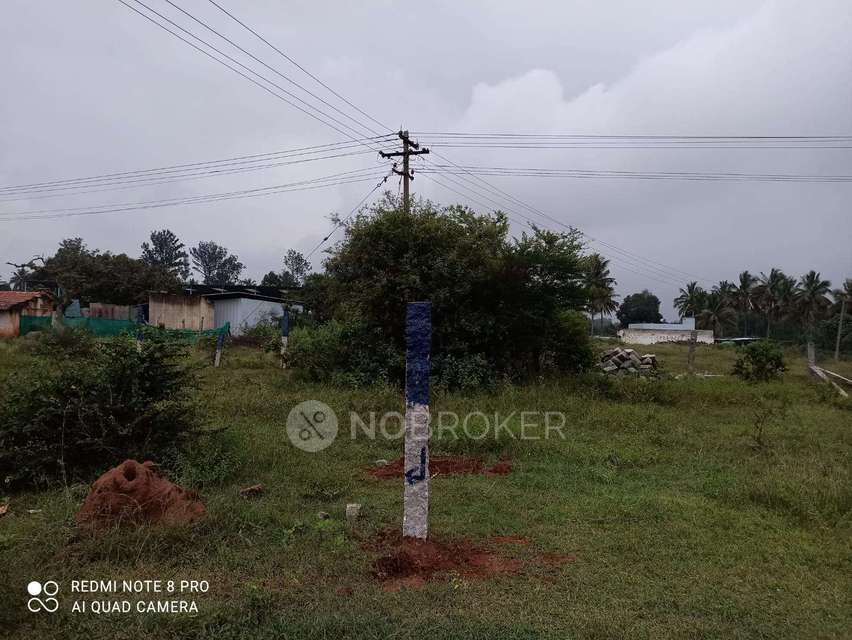 Godown/Warehouse in Hosur, Bangalore for Rent 