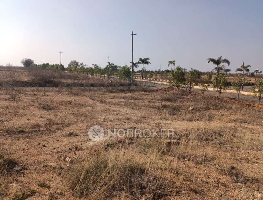 Plot For Sale  In Bhongir Real Estate