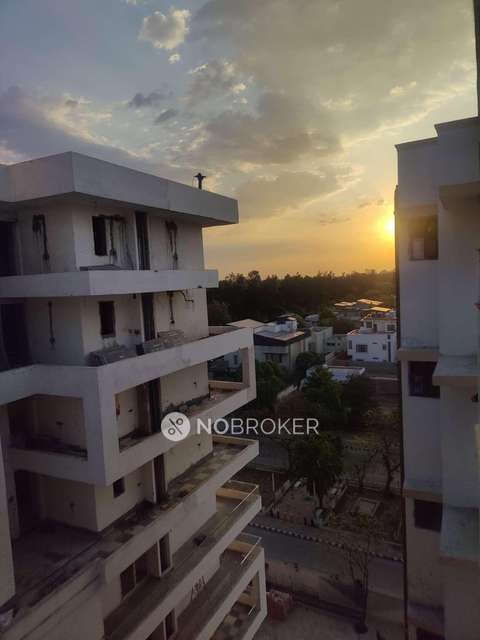 3 BHK Flat In Shree Krishna Cghs For Sale  In  Sector 21d