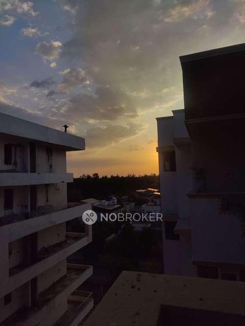 3 BHK Flat In Shree Krishna Cghs For Sale  In  Sector 21d