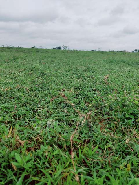 Plot For Sale  In Building Block Grandeur 4   In Shadnagar