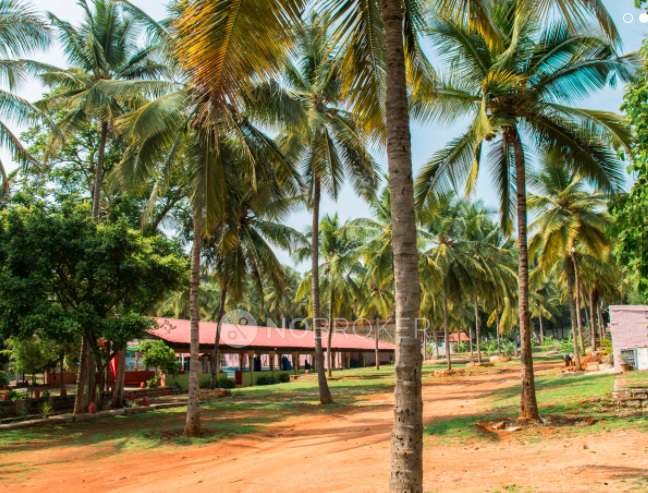 Plot For Sale  In New Crazy Park In Rajarajeshwari Nagar