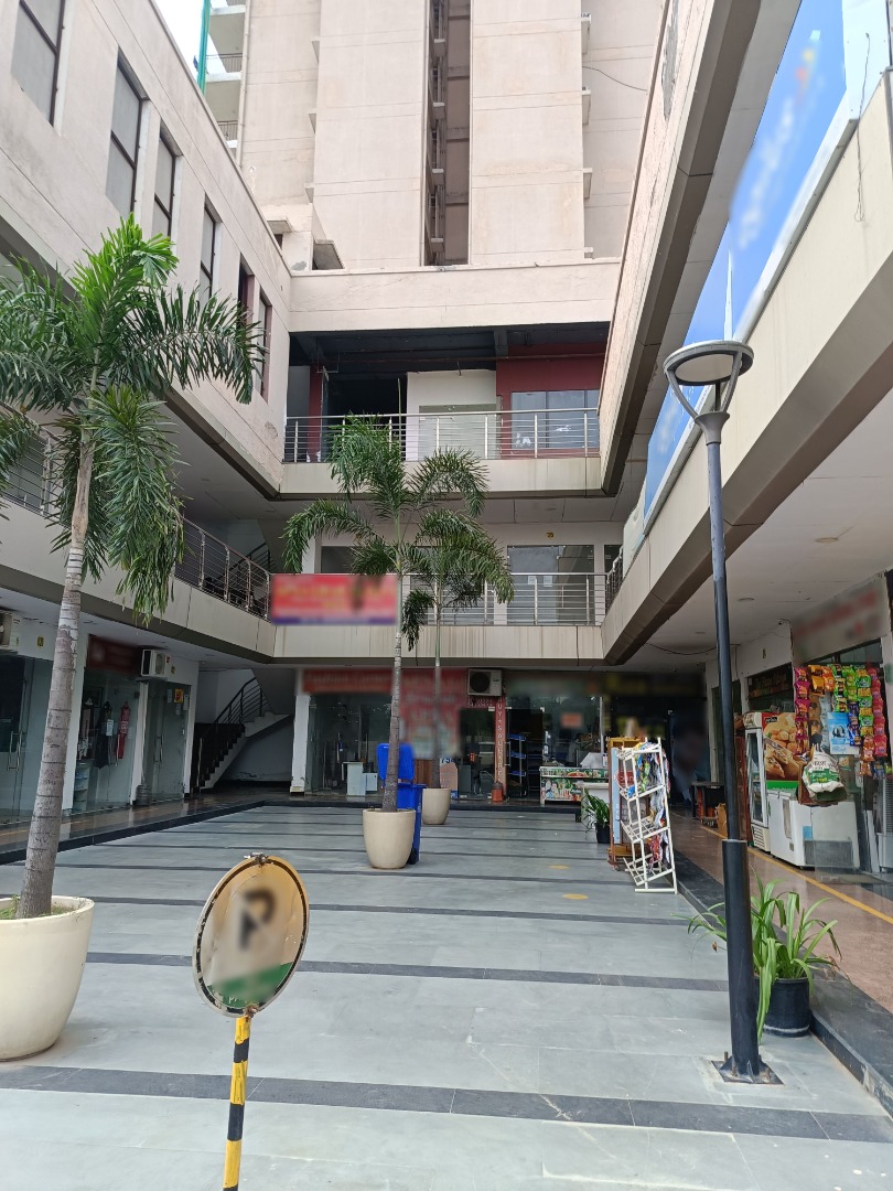 Signature Global Synera