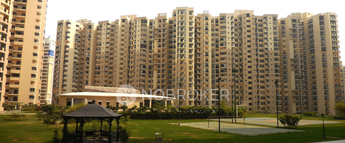 Paramount Floraville Sector137 Without Brokerage Semifurnished 3
