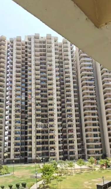 3 BHK Flat In Gaur Yamuna City For Sale  In Sector 19