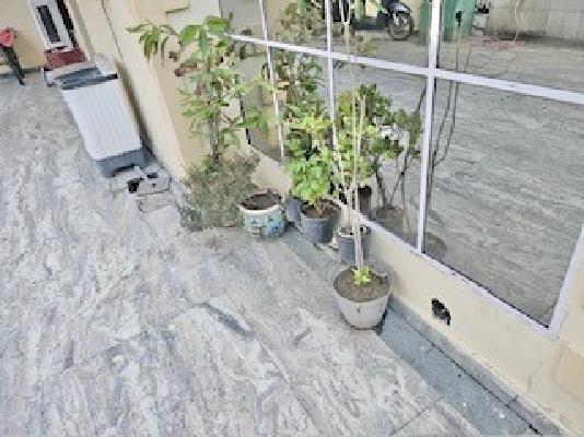 PG for Girls in Sector 10a