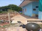 1 BHK House for Rent  In Gulimangala