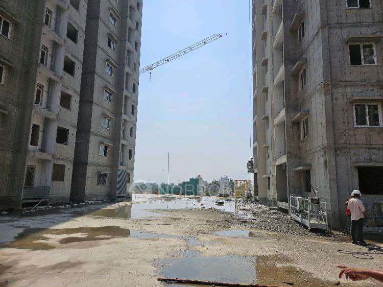 3 BHK Flat In Pavani Mirabilia For Sale  In Whitefield