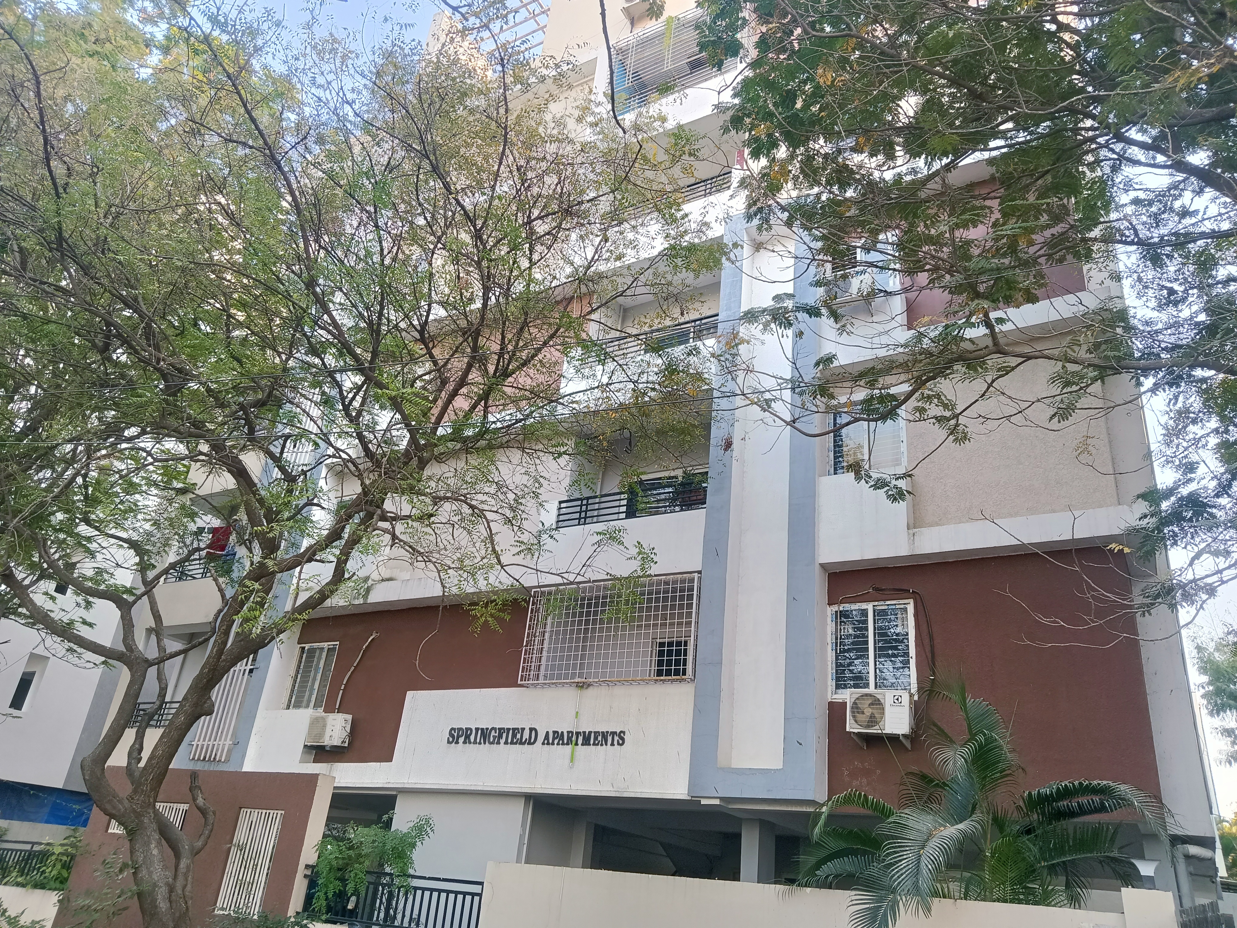 Springfield apartment 