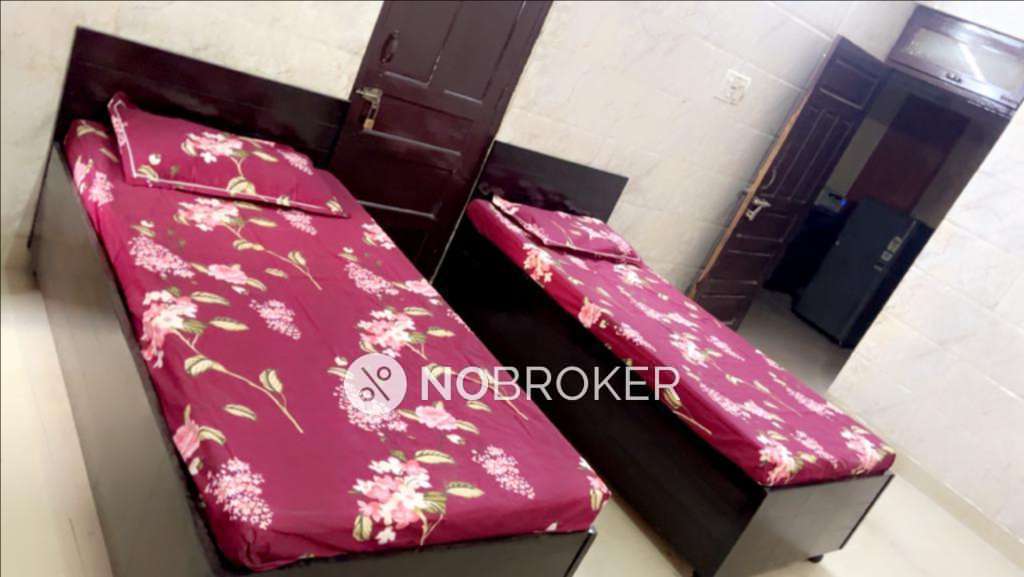 PG for Boys in Sector 16